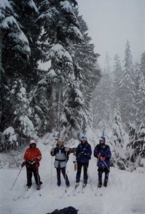 Crosscntry Skiing.jpg (35583 bytes)