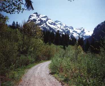 Monte Cristo Road.jpg (17894 bytes)