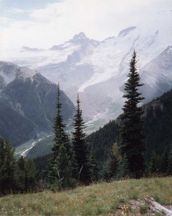 Rainer-White River.jpg (36206 bytes)