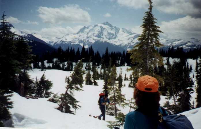 Tomihoy Skiing.jpg (33013 bytes)