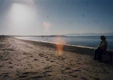West Beach Whidby Island.jpg (12600 bytes)
